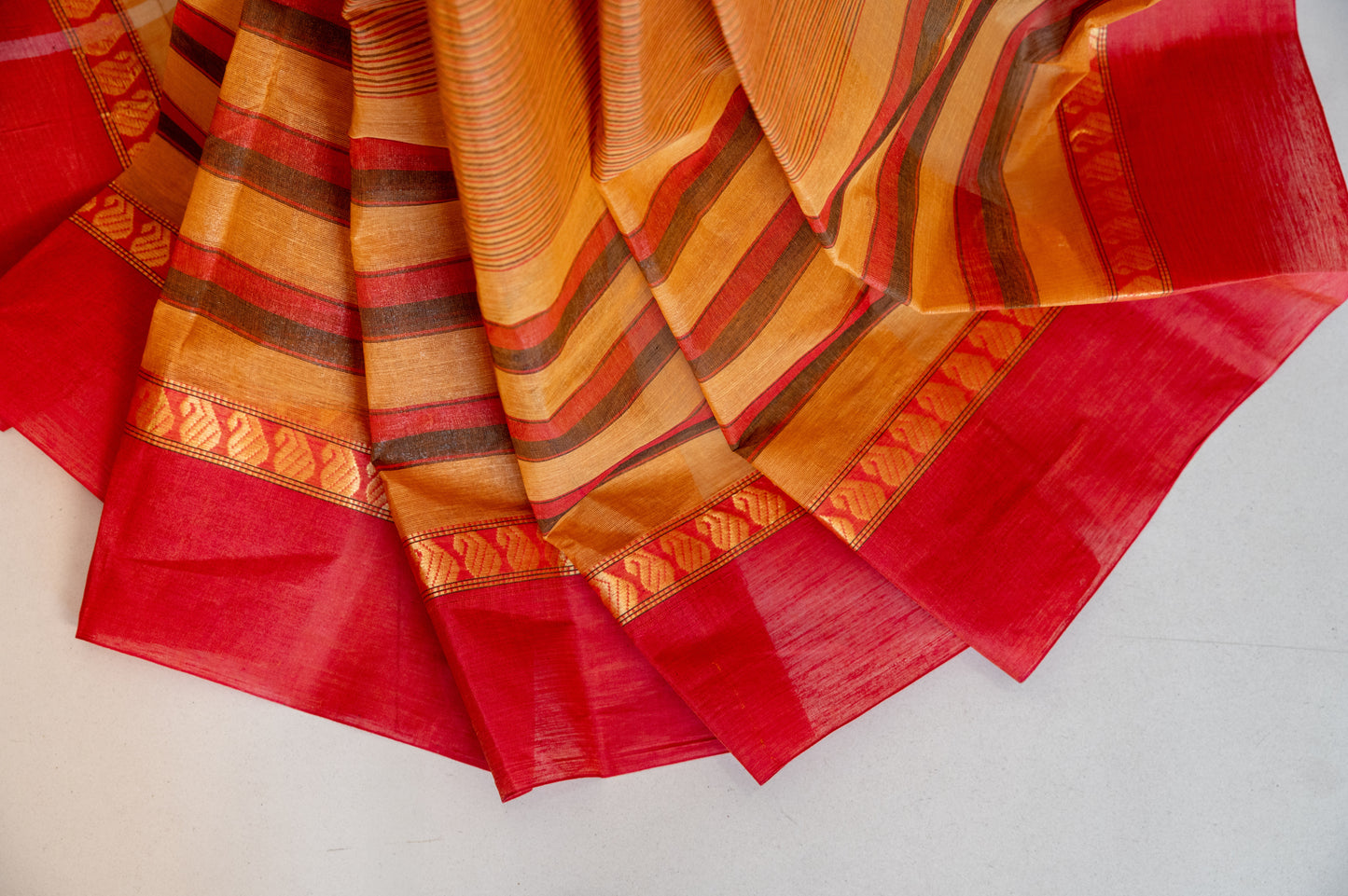 Striped GJ Dhonekhali