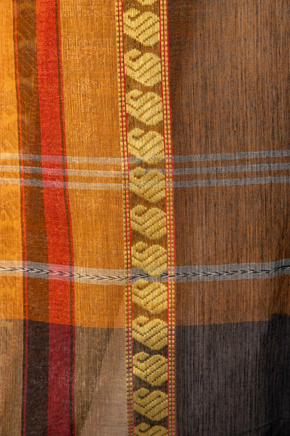 Striped GJ Dhonekhali