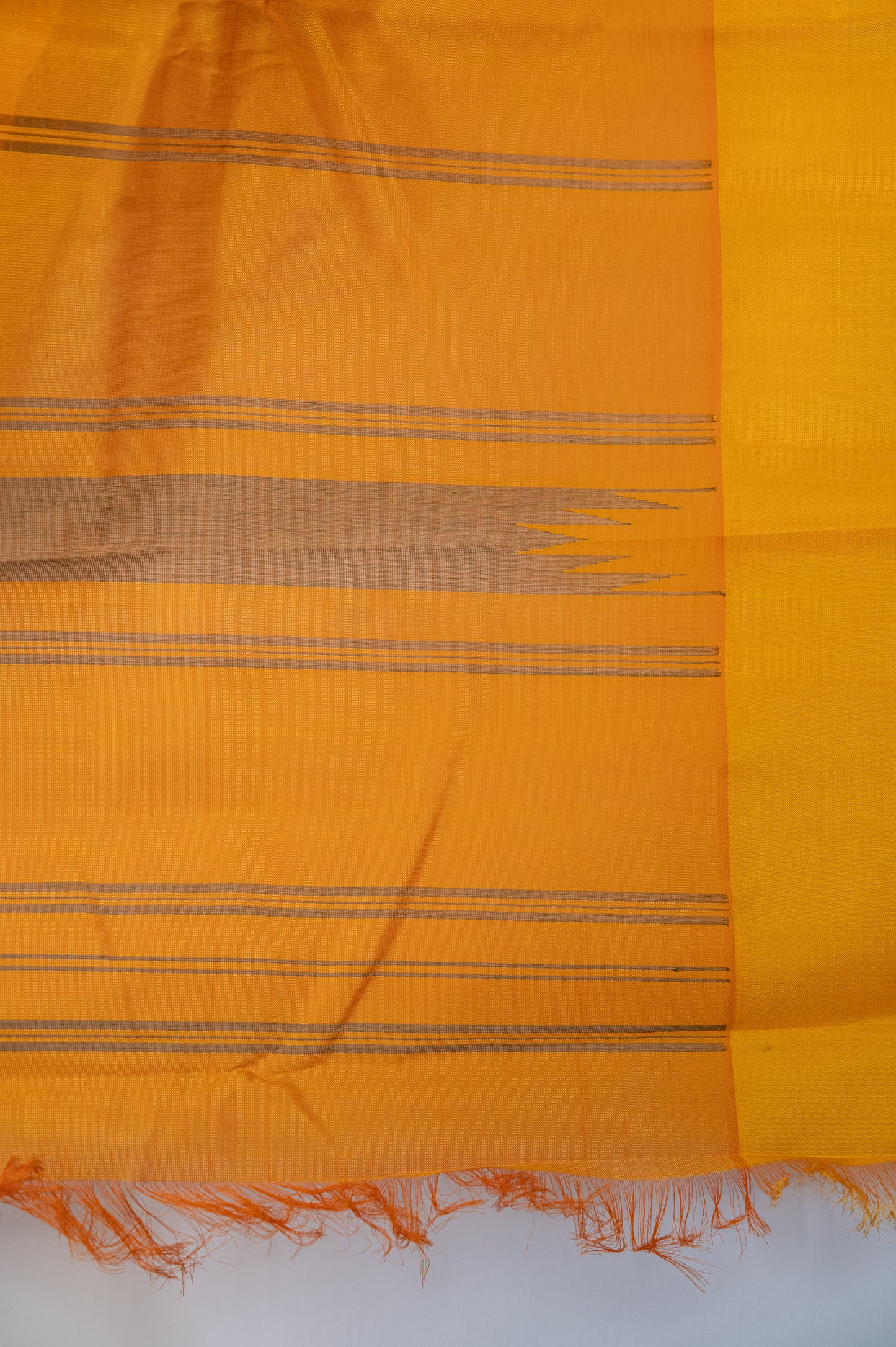 Kanchi cotton with one-sided silk borders and pallu