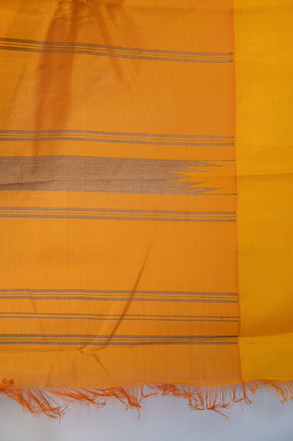 Kanchi cotton with one-sided silk borders and pallu