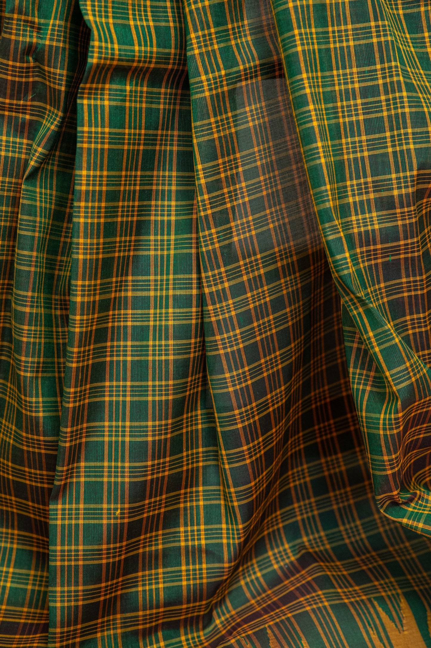 Kanchi cotton with silk borders and pallu