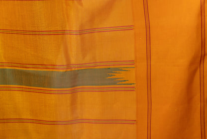 Kanchi cotton with silk borders and pallu