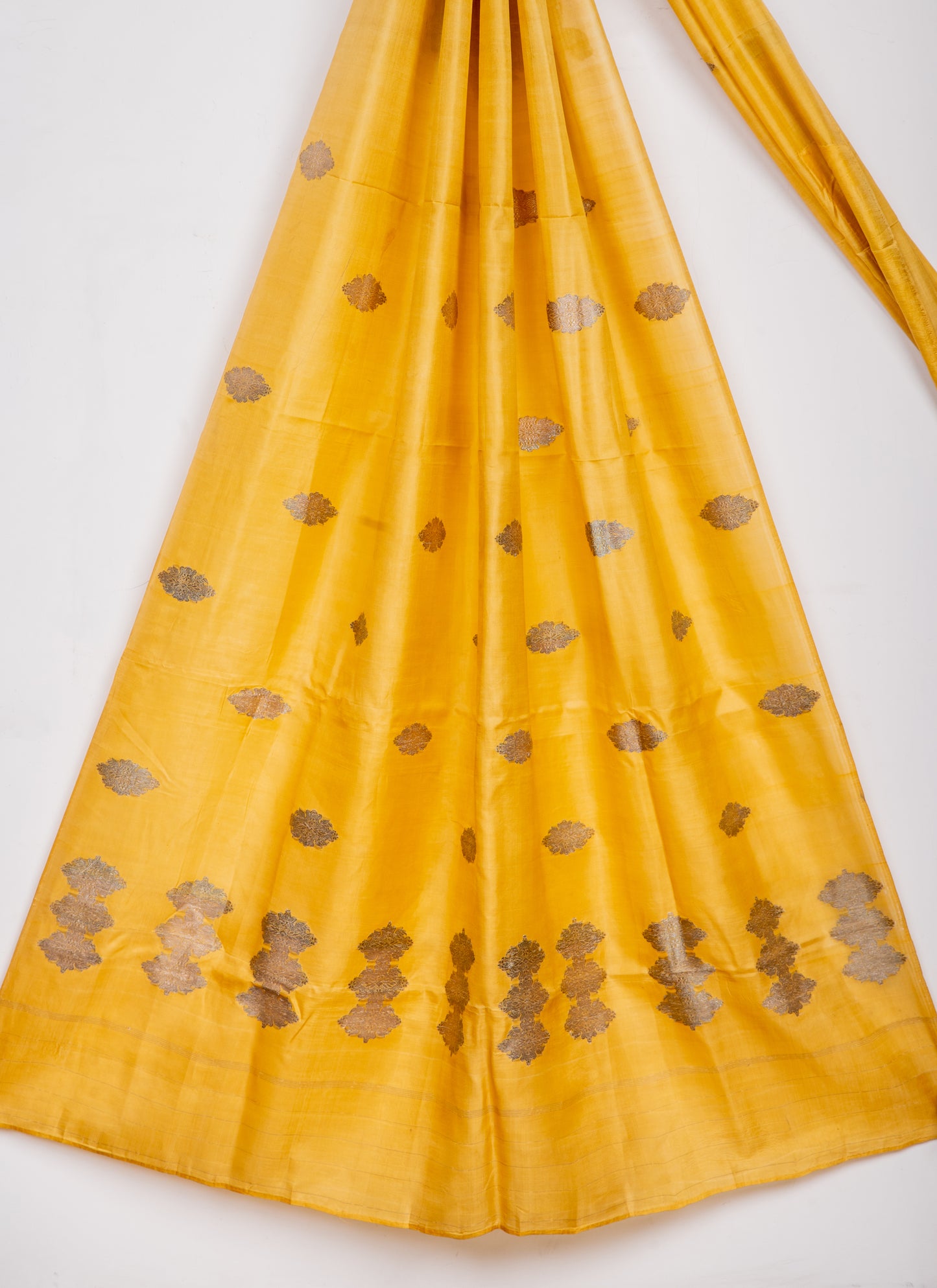 Collector Antique real zari veg dyed Banarasi